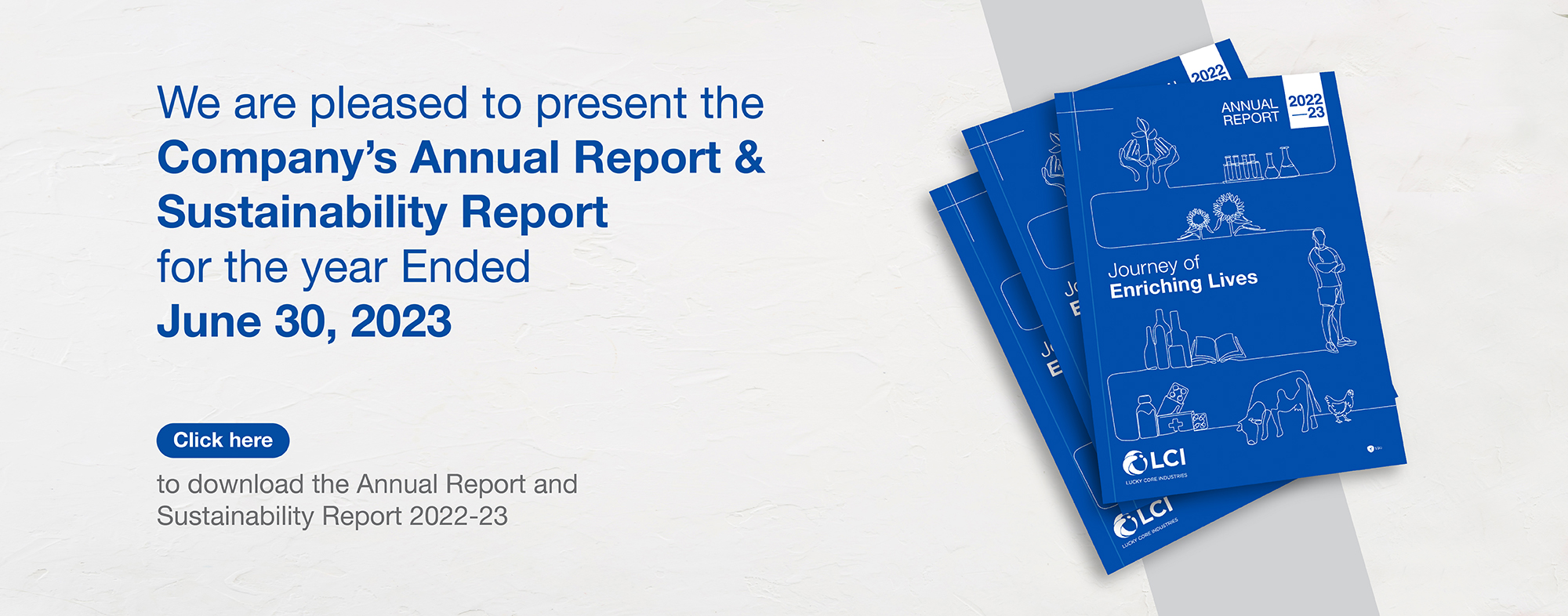 Annual Report ES